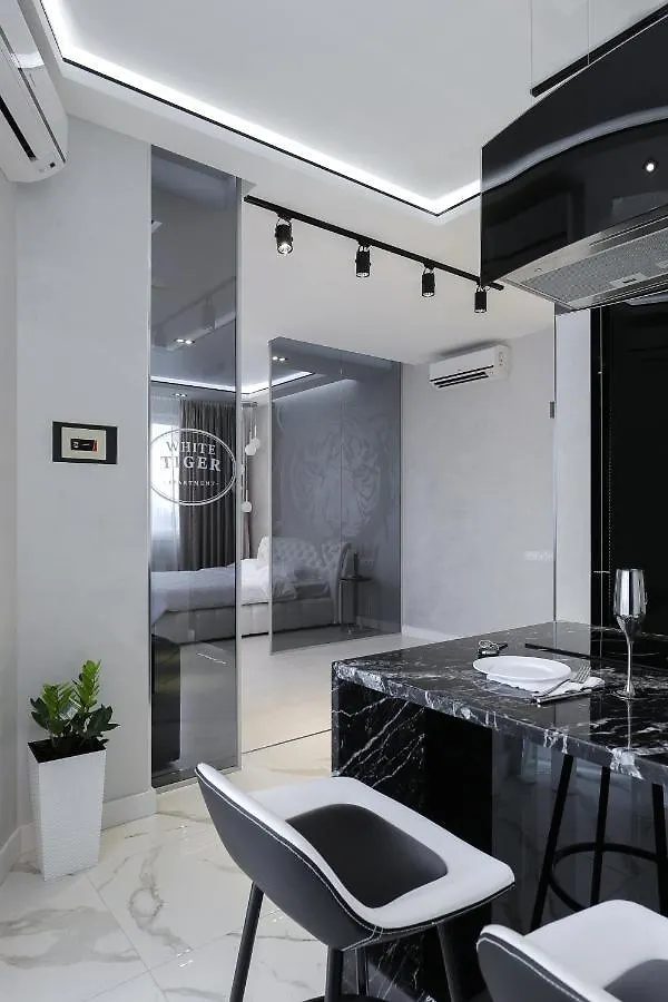White Tiger Apartment In Smart Plaza Kijów Ukraina
